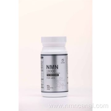 Optimize Cellular Energy with NMN OEM Capsules